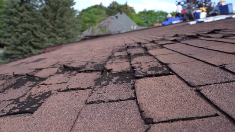  Pigeon Forge, TN Roofing Service Pros