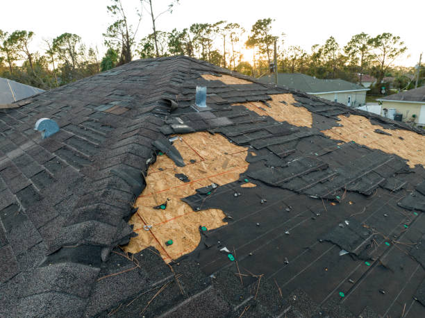 Best Rubber Roofing (EPDM, TPO)  in Pigeon Forge, TN