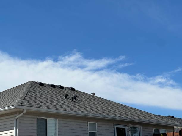Roof Insulation in Pigeon Forge, TN